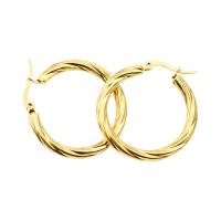 Titanium Steel Hoop Earring Donut plated & for woman Sold By PC