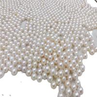 Natural Freshwater Pearl Loose Beads, fashion jewelry & DIY & different size for choice, white, Sold By PC