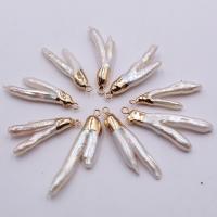 Freshwater Pearl Pendants, with Brass, irregular, mixed colors, 6-40mm, 10PCs/Bag, Sold By Bag