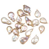 Gėlo vandens perlų pakabučiai, su Žalvarinis, aukso spalva padengtas, Natūralus & Bižuterijos & Pasidaryk pats, daugiau spalvų pasirinkimas, 15x18-18x26mm, Pardavė PC
