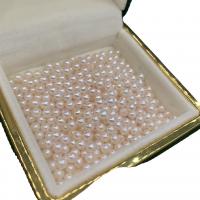 Turno coltivate in acqua dolce Perla, perle coltivate Akoya, Cerchio, DIY, bianco, 4-5mm, Venduto da PC
