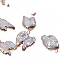 Pendentifs perles d'eau douce, perle d'eau douce cultivée, avec laiton, couleurs mélangées, 15-16mm, 10PC/sac, Vendu par sac