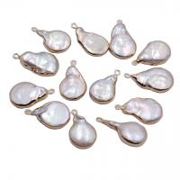 Freshwater Pearl Pendants, with Brass, Teardrop, white, 13x18mm, 10PCs/Bag, Sold By Bag