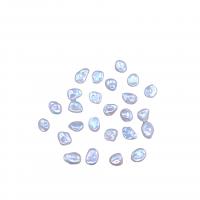Perles nacres sans trou de culture d'eau douce, perle d'eau douce cultivée, DIY & aucun trou, blanc, 5PC/sac, Vendu par sac