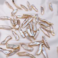Pendentifs perles d'eau douce, perle d'eau douce cultivée, avec laiton, couleurs mélangées, 20mm, 10PC/sac, Vendu par sac