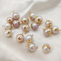 Freshwater Pearl Connector with Brass 12mm Sold By Bag