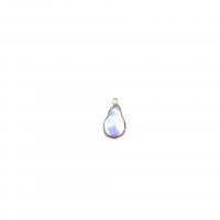 Pendentifs perles d'eau douce, perle d'eau douce cultivée, avec laiton, blanc, 16mm, 10PC/sac, Vendu par sac