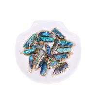 Μενταγιόν Μαργαριτάρι του γλυκού νερού, με Ορείχαλκος, μικτά χρώματα, 30x11-12mm, 10PCs/τσάντα, Sold Με τσάντα