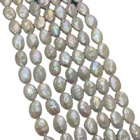 Perle perline Keishi coltivate d'acqua dolce, perla d'acquadolce coltivata naturalmente, DIY, bianco, 10mm, Venduto per 38 cm filo
