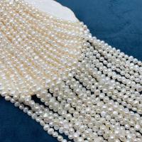 Tlačítko kultivované sladkovodní Pearl Beads, DIY, bílý, 6-7mm, Prodáno za 38 cm Strand