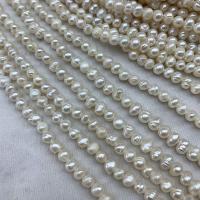 Tlačítko kultivované sladkovodní Pearl Beads, DIY, bílý, 5mm, Prodáno za 38 cm Strand