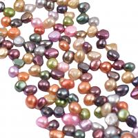 Perlas Keishi Cultivadas de Agua Dulce, Perlas cultivadas de agua dulce, Bricolaje, multicolor, 7-8mm, Vendido para 38-40 cm Sarta