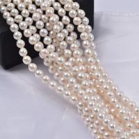 Perles nacres baroques de culture d'eau douce , perle d'eau douce cultivée, DIY, blanc, 7-8mm, Vendu par 38 cm brin