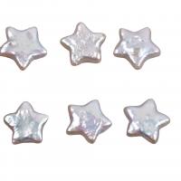 Cultured No Hole Freshwater Pearl Beads, Star, DIY, white, 12mm, Sold By PC