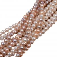 Perles de nacre rondes de culture d'eau douce, perle d'eau douce cultivée, DIY, plus de couleurs à choisir, 7-8mm, Vendu par 36-38 cm brin
