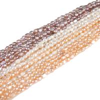 Cultured Baroque Freshwater Pearl Beads irregular polished & DIY Sold By Bag