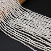 Tlačítko kultivované sladkovodní Pearl Beads, DIY, bílý, 3-3.5mm, Prodáno za 38 cm Strand
