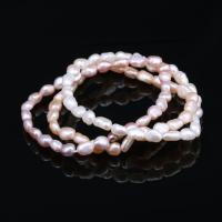 Freshwater Kulturperler Pearl Bracelet, Ferskvandsperle, Ris, du kan DIY, flere farver til valg, 6-7mm, Solgt Per 38 cm Strand