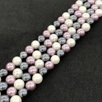 Perles de coquille colore naturelle, Rond, poli, DIY, couleurs mélangées, Vendu par 38 cm brin