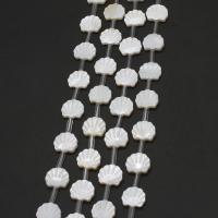 Perles en coquillage blanc naturel, coquille blanche, coquille, DIY, blanc, 11x12x2mm, 20PC/brin, Vendu par 38 cm brin