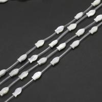 Perles en coquillage blanc naturel, coquille blanche, poisson, DIY, blanc, 12x7x3mm, 15PC/brin, Vendu par 38 cm brin