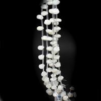 Perles en coquillage blanc naturel, coquille blanche, coquille, DIY, blanc, 12x12x3mm, 20PC/brin, Vendu par 38 cm brin