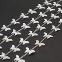 Natural White Shell Beads, Butterfly, DIY, white, 13x20x2mm, 15PCs/Strand, Sold Per 38 cm Strand