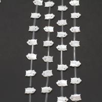 Perline conchiglia in bianco naturale , bianco conchiglia, Maiale, DIY, bianco, 8x12x2mm, 15PC/filo, Venduto per 38 cm filo