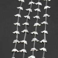 Abalorios de Nácar Blanca Natural, Delfín, Bricolaje, Blanco, 8x16x2mm, 15PCs/Sarta, Vendido para 38 cm Sarta