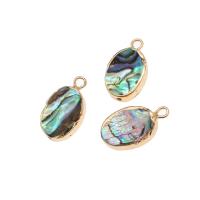 Natural Abalone Shell Pendants, Brass, with Abalone Shell, Oval, 18K imitated gold plated, mixed colors, 18x10x3mm, Sold By PC