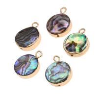 Natural Abalone Shell Pendants Brass with Abalone Shell Round 18K imitated gold plated mixed colors Sold By PC