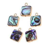 Natural Abalone Shell Pendants, Brass, with Abalone Shell,  Square, 18K imitated gold plated, mixed colors, 16x13x4mm, Sold By PC