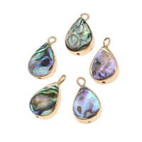 Natural Abalone Shell Pendants, Brass, with Abalone Shell, Teardrop, 18K imitated gold plated, mixed colors, 18x10x3mm, Sold By PC