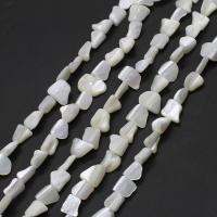Natürliche weiße Muschelperlen, Unregelmäßige, DIY, weiß, 10x10x5mm, verkauft per 38 cm Strang
