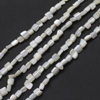 Prirodni White Shell perle, Bijela Shell, možete DIY, bijel, 8x7x6mm, Prodano Per 38 cm Strand