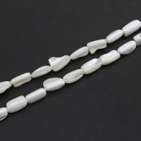 Perles en coquillage blanc naturel, coquille blanche, DIY, blanc, 16x12x7mm, Vendu par 38 cm brin