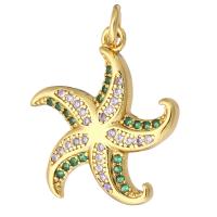 Cubic Zirconia Micro Pave Brass Pendant, Starfish, gold color plated, micro pave cubic zirconia, 18x20x2mm, Hole:Approx 2mm, 10PCs/Lot, Sold By Lot