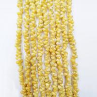 Muszla trąbka Koralik, obyty, DIY, żółty, 3mm, sprzedawane na 39 cm Strand