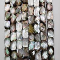 Nero-Lip-Shell perla, Rettangolo, lucido, DIY & sfaccettati, colori misti, 12x18mm, Venduto per 39 cm filo