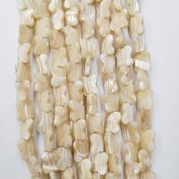 Natural Yellow Shell Beads Butterfly polished DIY light beige Sold Per 39 cm Strand