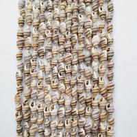 Trumpeten Shell Bead, Trumpetsnäcka, polerad, DIY, blandade färger, 2-5mm, Såld Per 60 cm Strand