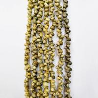 Trompete Muschel Perle, Strandschnecke, poliert, DIY, hellgrün, 2-5mm, verkauft per 39 cm Strang