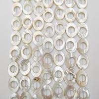 Perles en coquillage blanc naturel, coquille blanche, poli, DIY, blanc, 13x18mm, Vendu par 39 cm brin