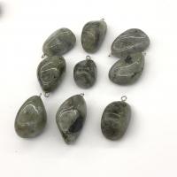 Labradorite Pendant with Iron Nuggets polished grey 17-24mm Sold By PC