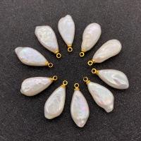 Freshwater Pearl Pendants, with Brass, gold color plated, fashion jewelry & DIY, white, 10x22mm, Sold By PC