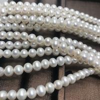 Perles de nacre rondes de culture d'eau douce, perle d'eau douce cultivée, blanc, 7-8mm, Vendu par Environ 14.57 pouce brin