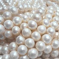Perlas Redondas Freshwater, Perlas cultivadas de agua dulce, Blanco, 10-11mm, Vendido para aproximado 14.57 Inch Sarta