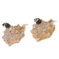 Μενταγιόν Shell, Ορείχαλκος, με πηλό rhinestone pave & Κέλυφος, μικτά χρώματα, 31x43x50mm, Sold Με PC