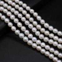 Runde ferskvandskulturperle Beads, Ferskvandsperle, Keishi, du kan DIY, hvid,  7-8mm, Solgt Per 36 cm Strand