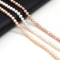 Runde ferskvandskulturperle Beads, Ferskvandsperle, Keishi, du kan DIY, flere farver til valg, 5-5.5mm, Solgt Per 36 cm Strand